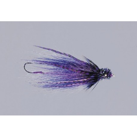 Rainys Purple Pepper Head A