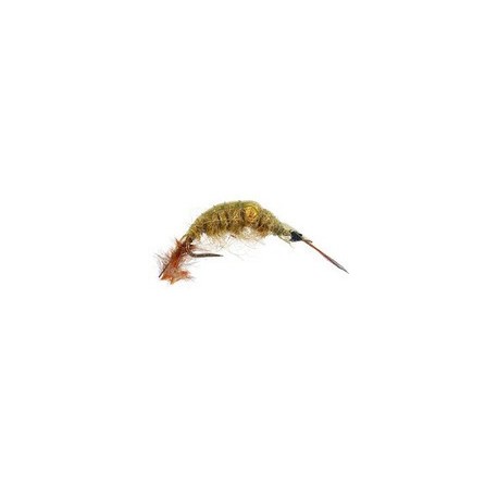 Classic Gammarus Olive Bead Bl