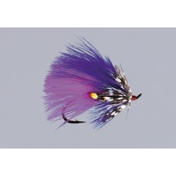 Sheweys Winter Spawning Purple