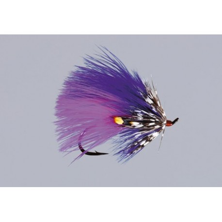 Sheweys Winter Spawning Purple