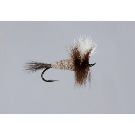 Steelhead Irresistible