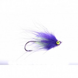 Tfp Clearwater Intruder Purple & Chartruese