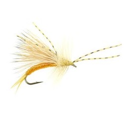 Wilsons Little Golden