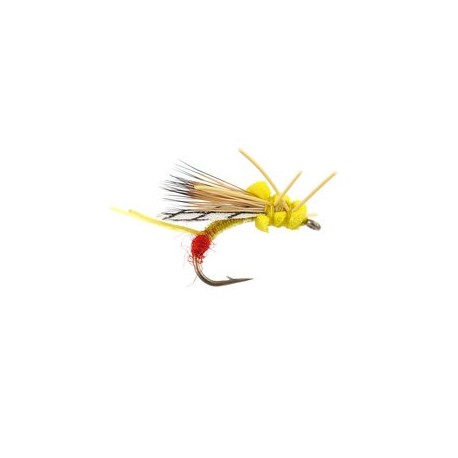 Goulds Half Downyellow Sally