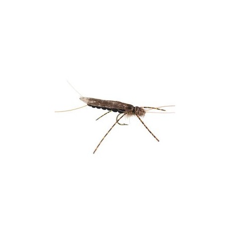 Large Realistic Dark Stonefly