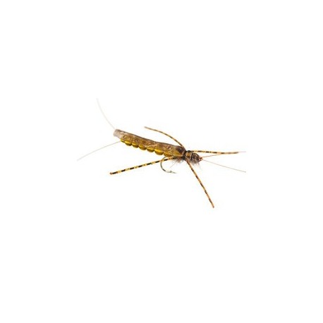 Large Realistic Yellow Stonefly