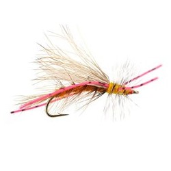 Stimulator Chew Toy Orange