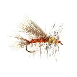 Stimulator Orange Yellow