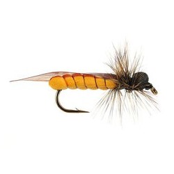 Stone Fly Hf
