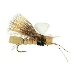 Swishers Foam Pmx Tan