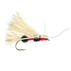 Swishers Madam X Royal