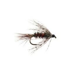 Classic Peacock Nymph Bl
