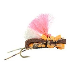 Taylors Fat Albert Orange Brown