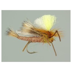 Trinas Carnage Attractor Tan