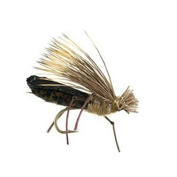 Trinas Dog Puke Skwalla