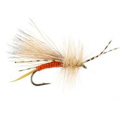 Wilsons Little Golden