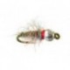 Bh Tailwater Sowbug
