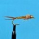 Bead Head Woven Stone Fly Brown