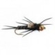 Bh Black Stonefly