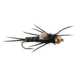 Bh Black Stonefly