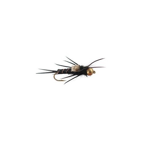 Bh Black Stonefly