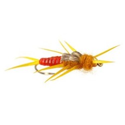 Bh Classic Orange Stonefly