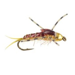 Damiens Six Six Sick Stone Golden