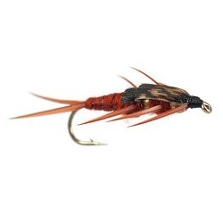Double Bh Brown Stonefly