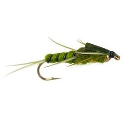 Double Bh Green Stonefly