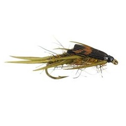 Double Bh Rough Olive Stonefly