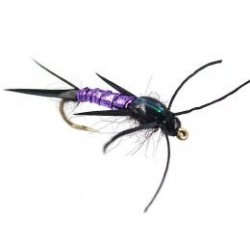 In Questa Categoria Di Mosche Trovi