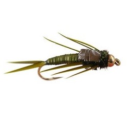 Marks Simple Olive Stonefly