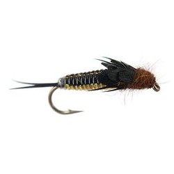 Rainbow Heavy Bodyglass Stonefly