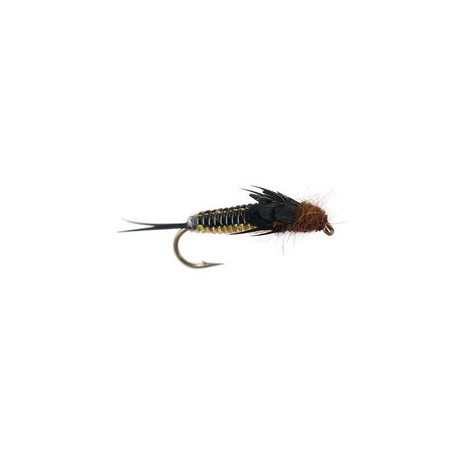 Rainbow Heavy Bodyglass Stonefly