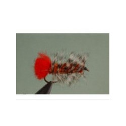 Brown and Grizzly Woolyworm