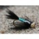 Black and Blue Copper Nymph Bh
