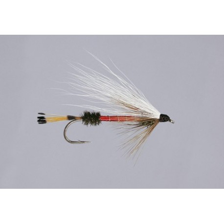 Bucktail Royal Coachman