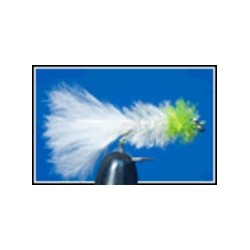 Cactus Fly Cats Whisker