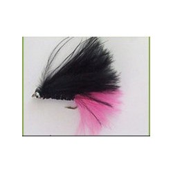 Cats Whisker Black